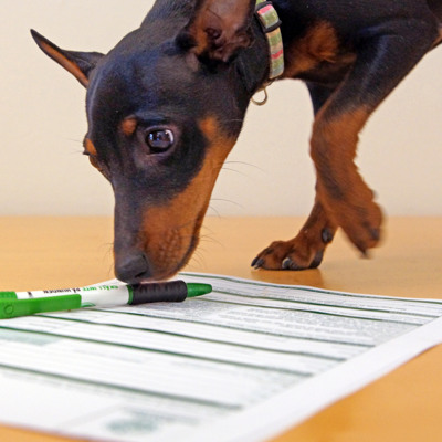 Hund som tecknar avtal
